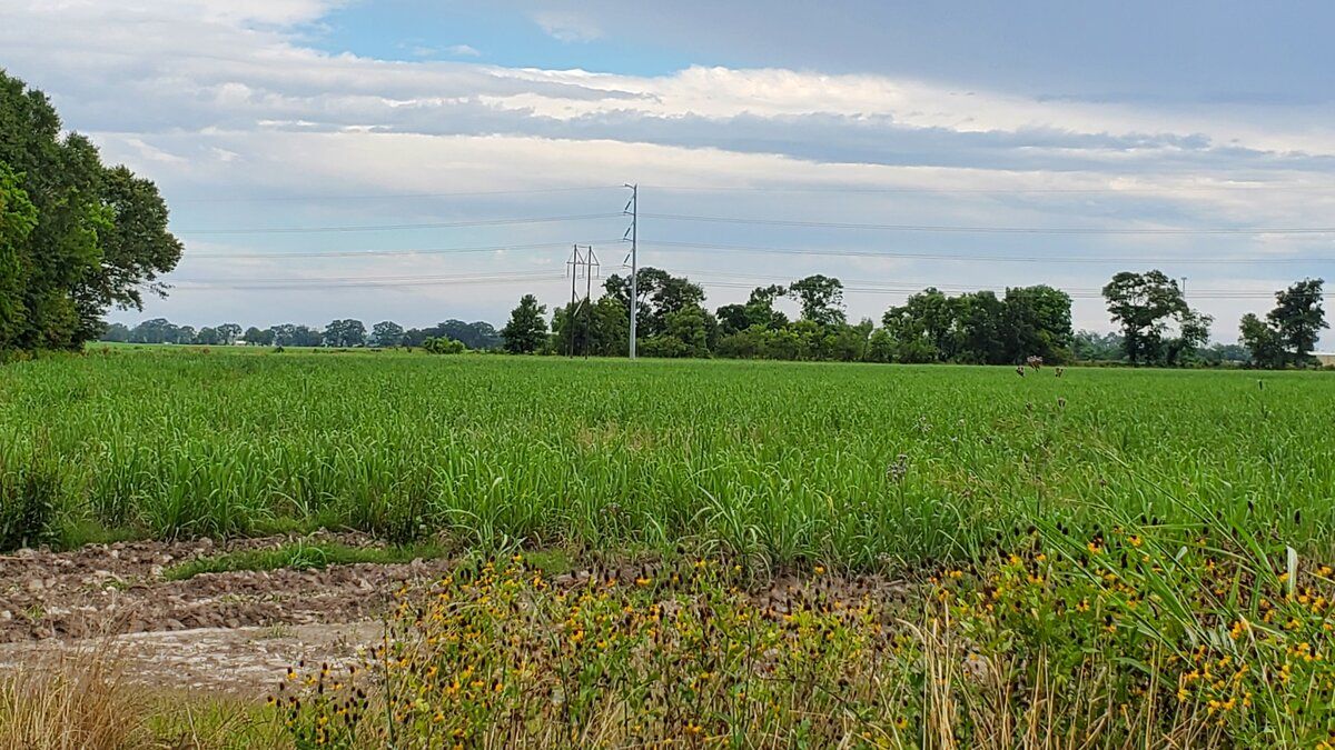 W Hwy 90 Frontage Rd, New Iberia, LA 70560